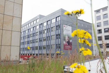 Phorms Campus Hamburg, Bilinguales Gymnasium